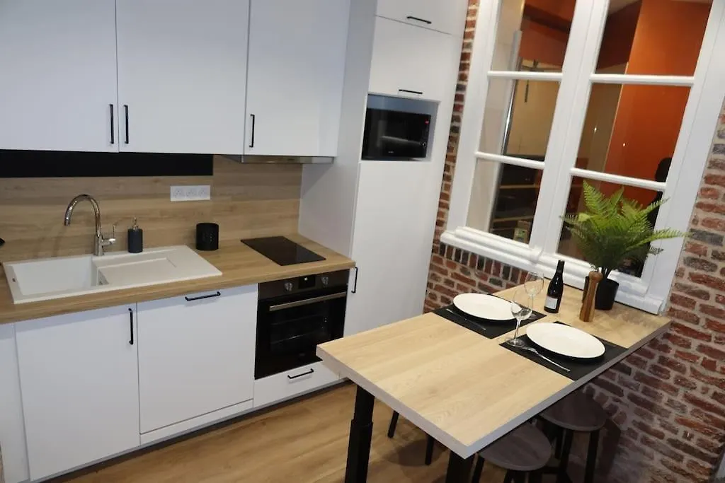 Joli Appartement Avec Cachet Dans Le Vieux Lille France